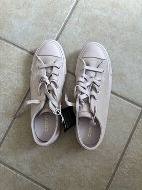 Chuck Taylor All Star Suede Sneaker in Shy Flamingo & Egret